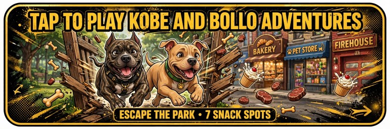Play Kobe And Bollo Adventures