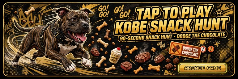 Play Kobe Snack Hunt